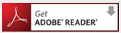 Adobe Reader Version 10