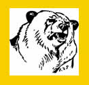 UA Bear
